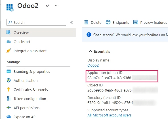 Az alkalmazás :guilabel:`Overview` részében található az Application/Client ID.
